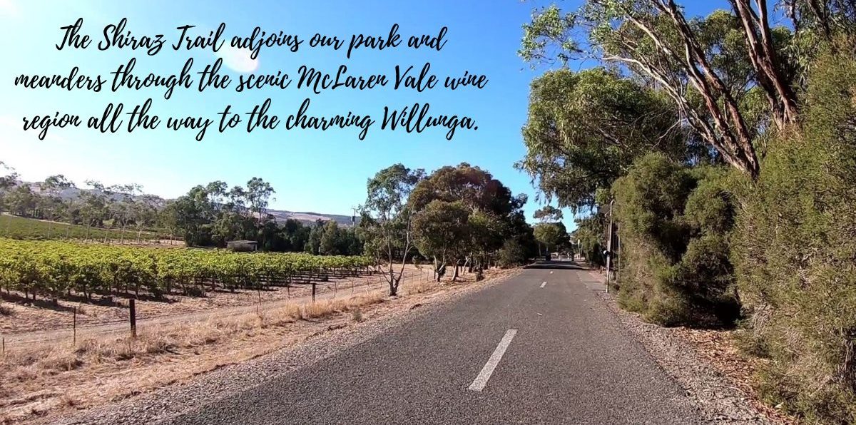 MV_Lakeside-shiraz-trail MV_Lakeside-shiraz-trail